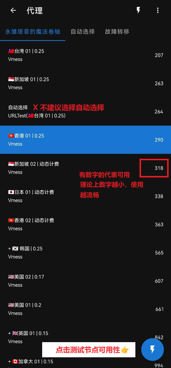 Clash Meta 节点列表截图