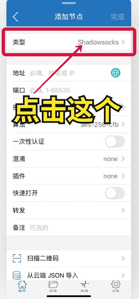 Shadowrocket 配置选项截图