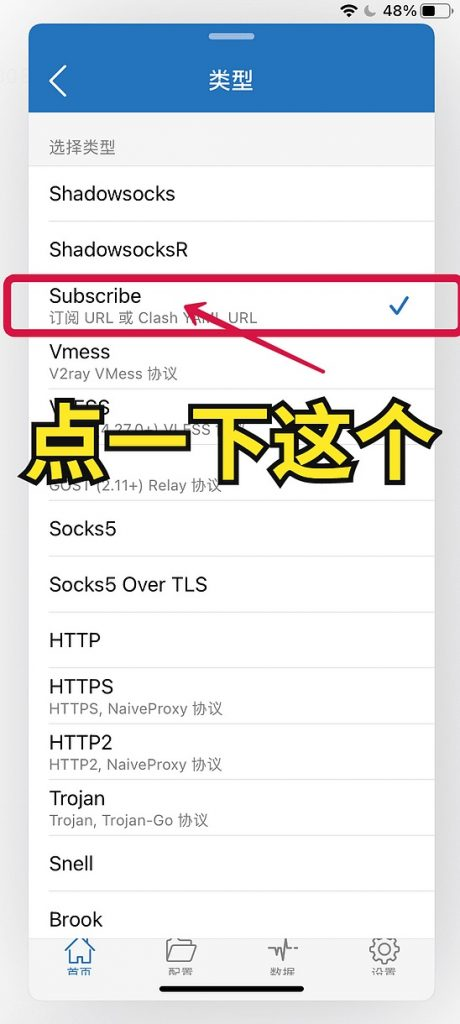 Shadowrocket 节点详情截图